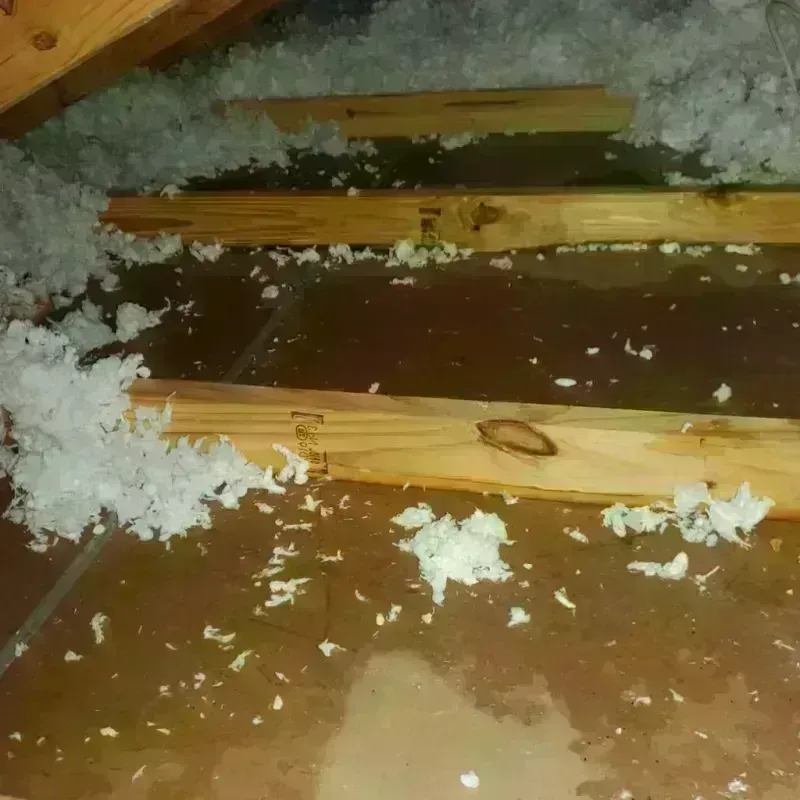 Attic Water Damage in Fulton, KY