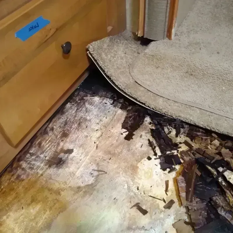 Best Wood Floor Water Damage Service in Fulton, KY